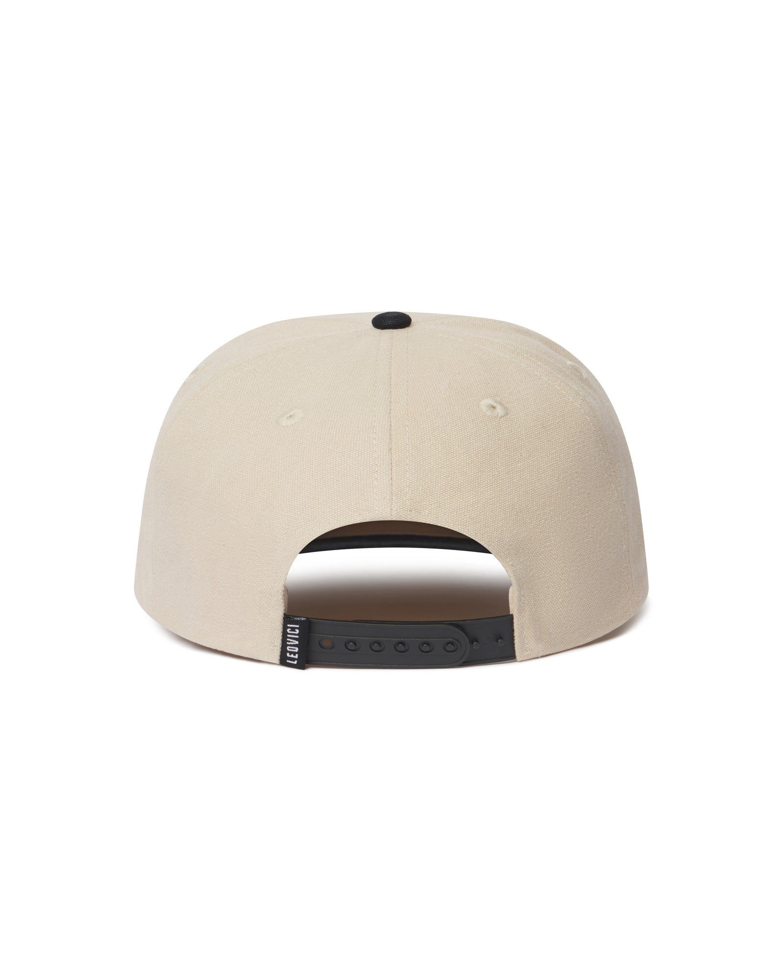 LEOVICI-2025-02-14-